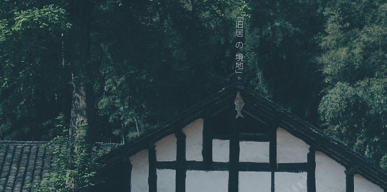 飞天小猪仔