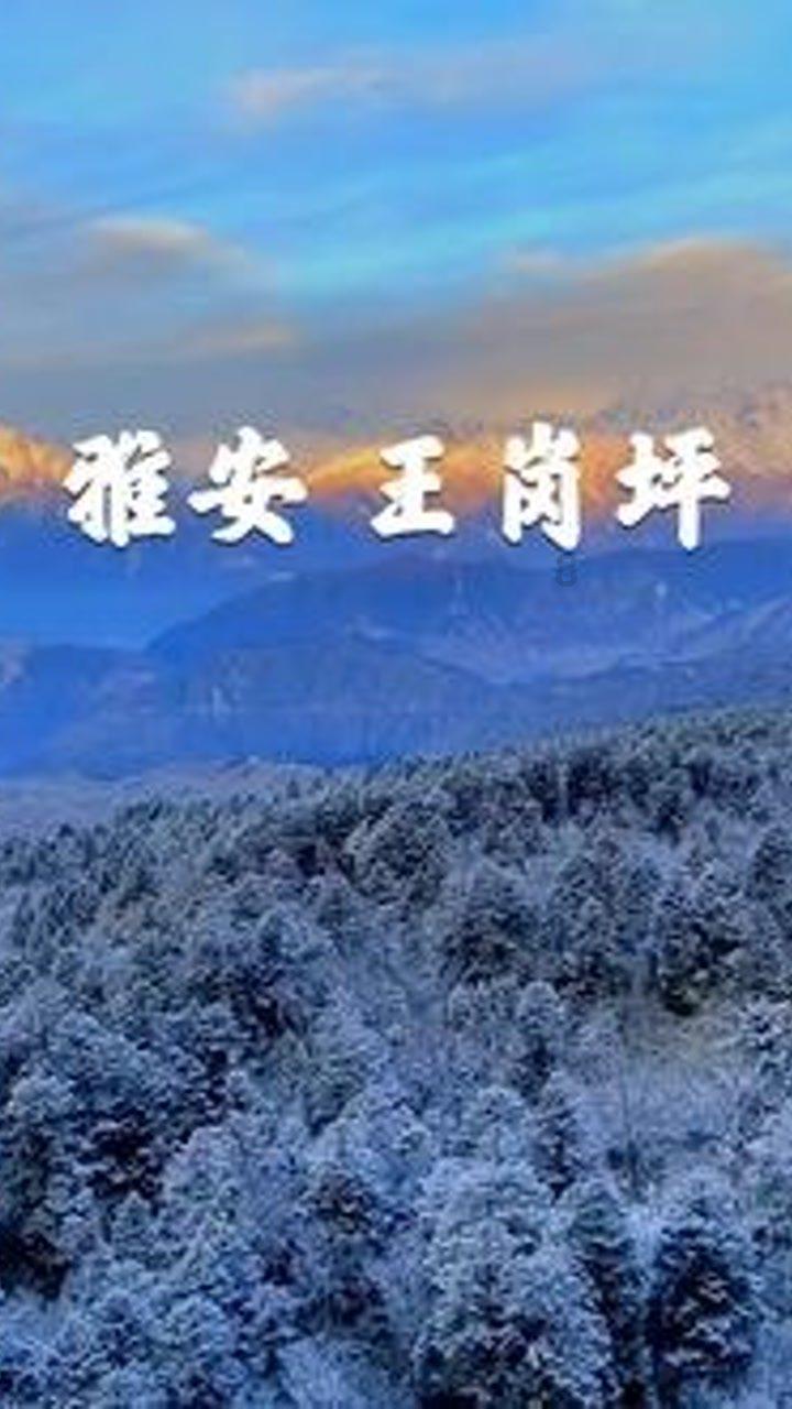 谁有这张的原图啊😭求一个游戏画面